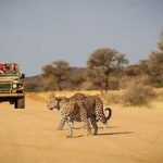 Etosha National park