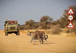 Etosha National park